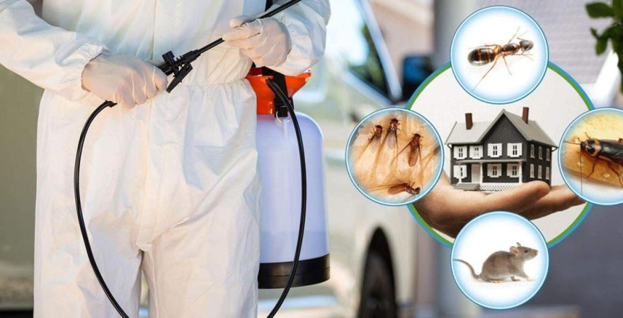 Bayramiç Böcek İlaçlama