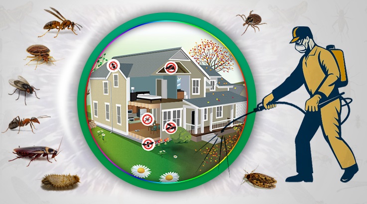 Bayramiç Böcek İlaçlama