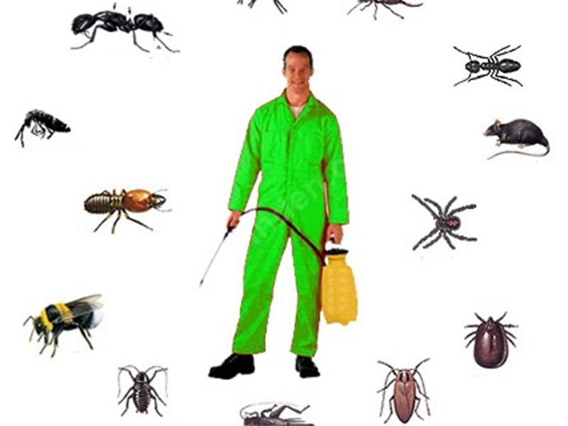 Bayramiç Böcek İlaçlama